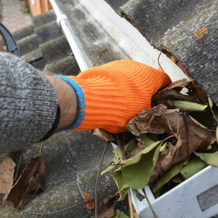 installation puis nettoyage de gouttières